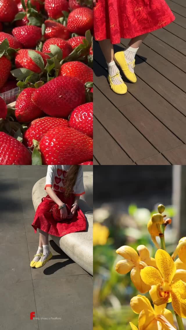 Instagram post from familyshoes_bneibrak. This post is in position 5.